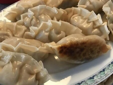 Gyoza’s / Dumplings