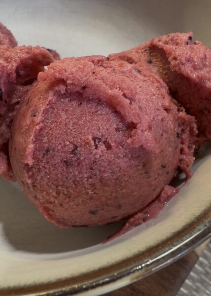 Fruit Sorbet