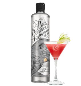 Bols Genever 21