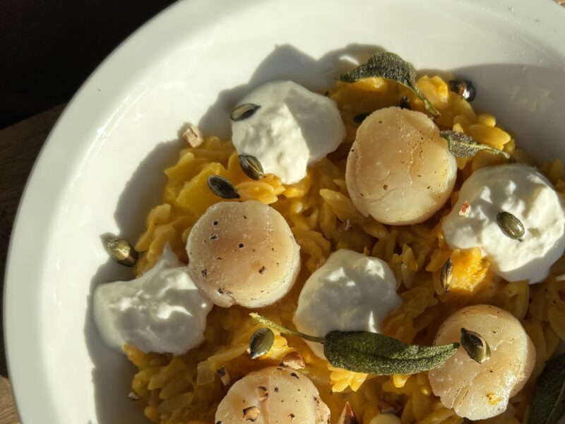Pompoen-Orzo met Coquille & Stracciatella